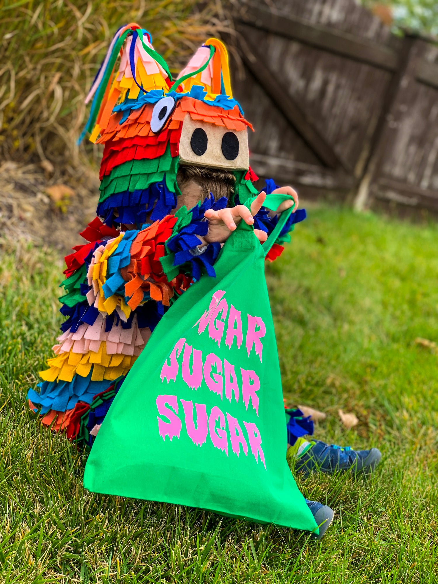 DIY Pinata costume for kids. 18 month old child  in a colorful pinata costume looking into a green bag that says Sugar, Sugar, Sugar. He is sitting on grass and the halloween costume is in rainbow colors like a traditional piñata.